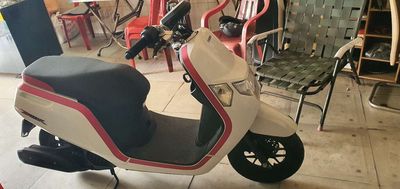Honda Dunk 50cc