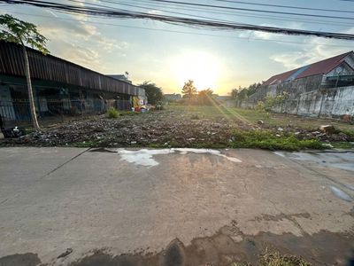 Đất trồng cây lâu năm và thổ cư. 