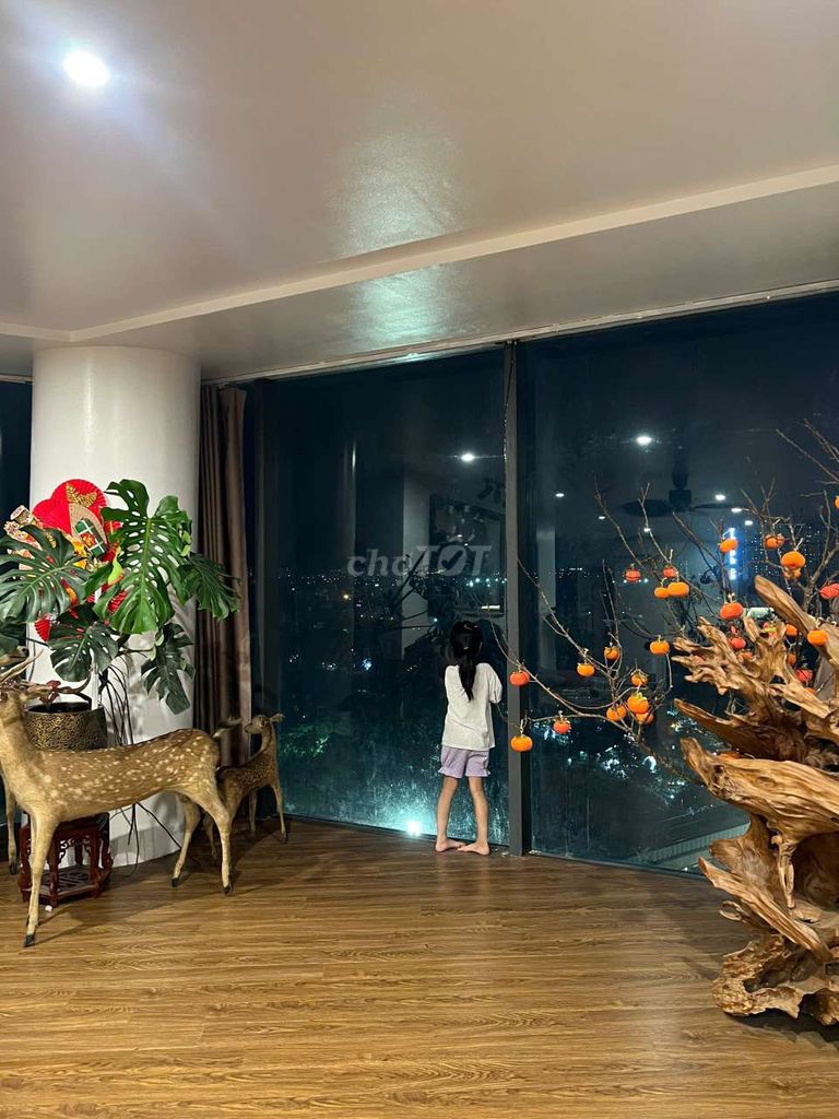 Cần bán gấp căn hộ chung cư vew triệu đô