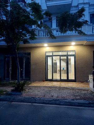 Cho Thuê Nhà Phố TPM - Bình Dương