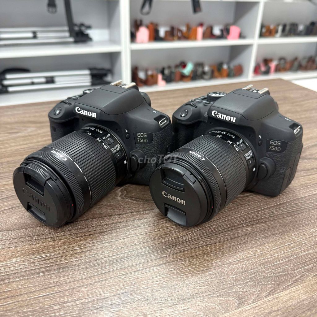 Canon 250D & 750D & 18-55 STM & 55-250STM & 50F1.8. Mua bán Máy ảnh, Máy quay tại Quận Thanh Xuân Hà Nội được đăng bởi Nguyễn Cường Camera hình 1