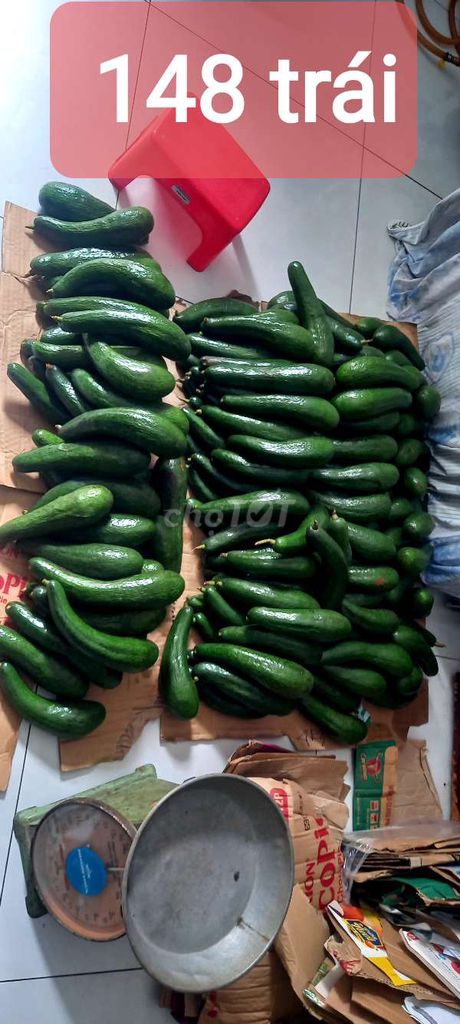 Bơ 034 4kg. Mua bán Đồ ăn, thực phẩm và các loại khác tại Quận 8 Tp Hồ Chí Minh được đăng bởi Nm hình 1