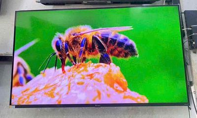 Bán tivi Casper 50 inch Android 4k giọng nói. Mua bán Tivi, Âm thanh tại Quận Hoàng Mai Hà Nội được đăng bởi Bảo Hiền