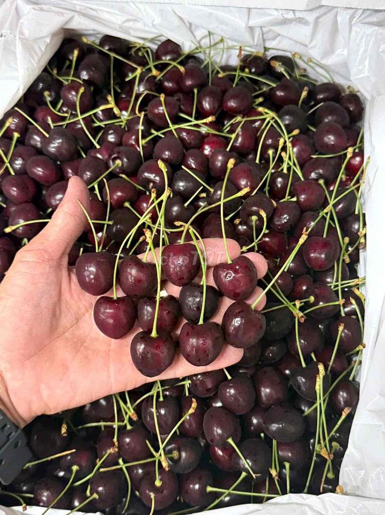 Táo Fuji Mỹ Farm To Door Đỏ Ngọt thanh. Mua bán Đồ ăn, thực phẩm và các loại khác tại Quận Bình Thạnh Tp Hồ Chí Minh được đăng bởi Jade hình 1