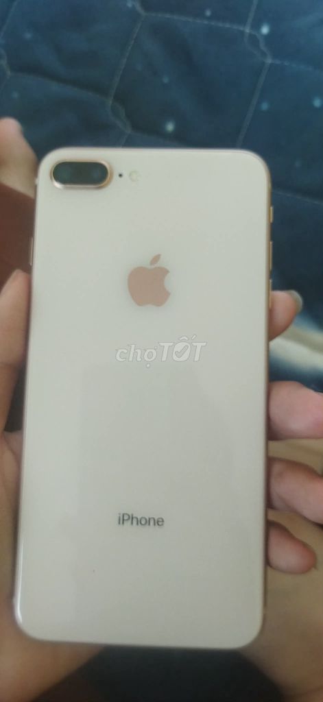 Apple iPhone 8 Plus 256GB Vàng hồng 99%. Mua bán Điện thoại tại Quận Cẩm Lệ Đà Nẵng được đăng bởi Nguyễn Thanh thể hình 1