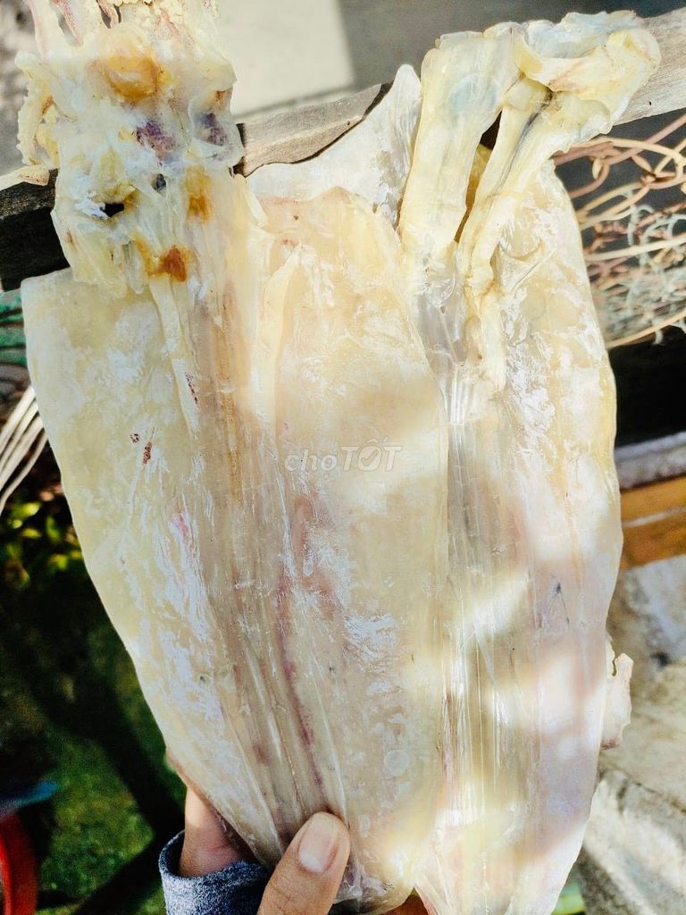 Mực khô siêu to khổng lồ. Mua bán Đồ ăn, thực phẩm và các loại khác tại Huyện Gò Công Tây Tiền Giang được đăng bởi Lê Thị Ý Nhi hình 1