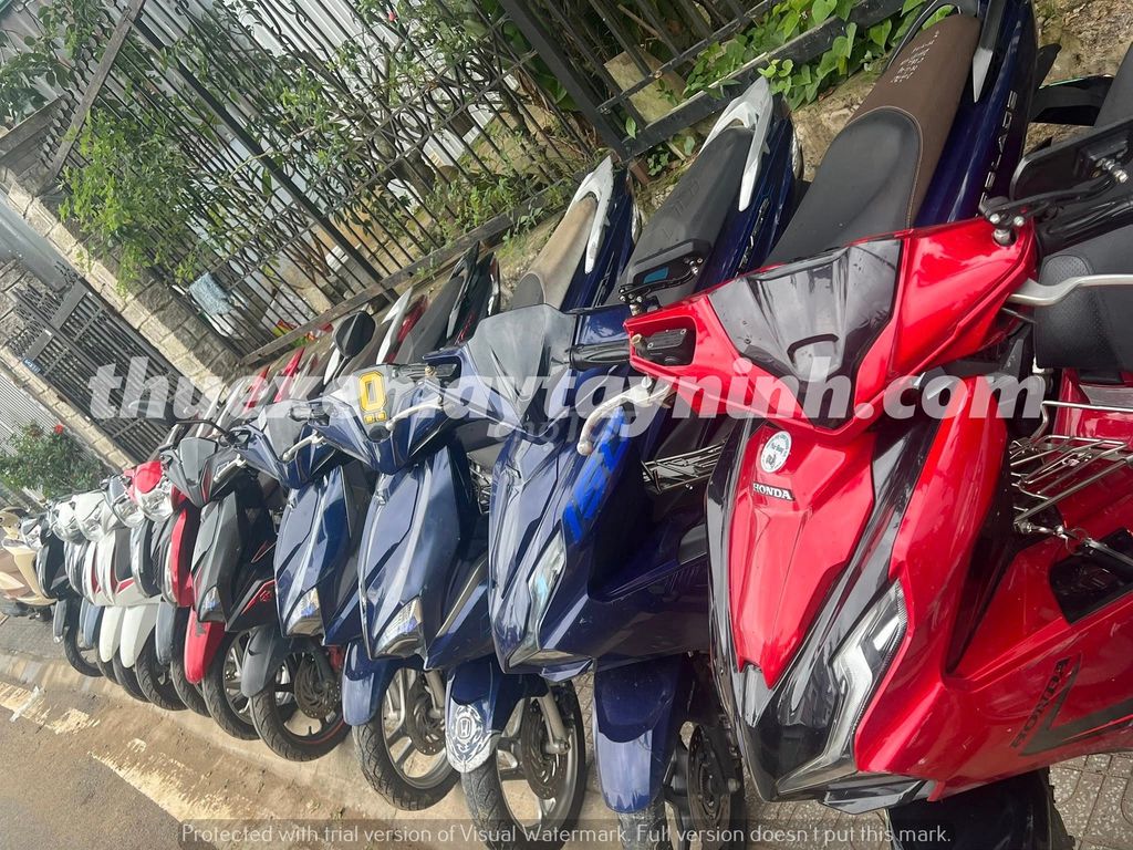 Thuê Xe Máy Gò Dầu Giá Rẻ Uy Tín Giao Liền. Dịch vụ tại Huyện Gò Dầu Tây Ninh được đăng bởi Đặng Lý Bằng hình 1