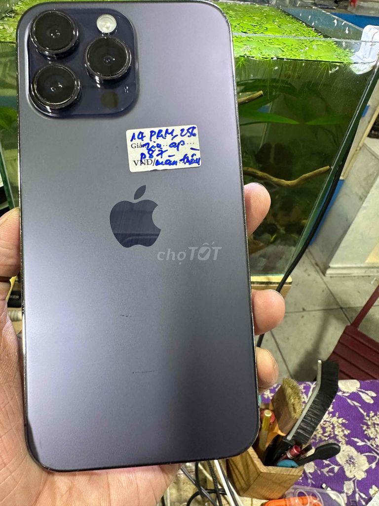 Apple iPhone 14 Pro Max 256GB Tím. Mua bán Điện thoại tại Quận Tân Phú Tp Hồ Chí Minh được đăng bởi gia phát hình 1