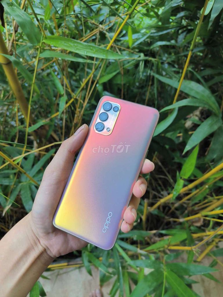 oppo reno 5 (8/128GB). Mua bán Điện thoại tại Quận Cẩm Lệ Đà Nẵng được đăng bởi T trải nghiệm hình 1