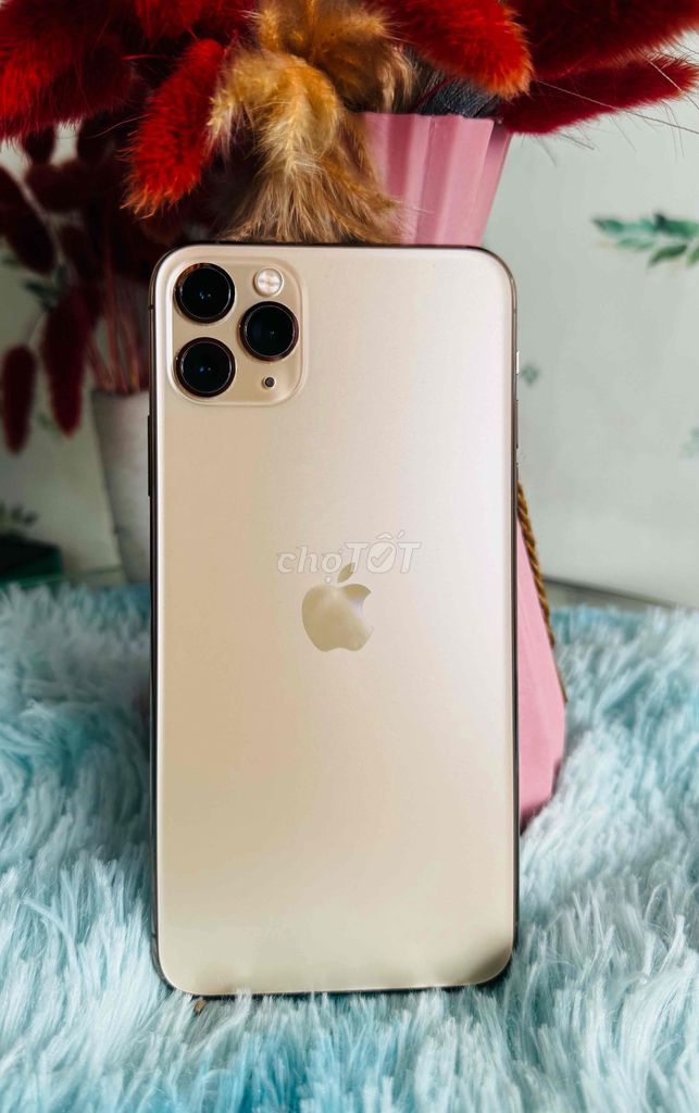 iPhone 11 Pro Max 64GB Vàng Mỹ Zin nguyên 100%. Mua bán Điện thoại tại Quận 10 Tp Hồ Chí Minh được đăng bởi Philongmobile hình 1