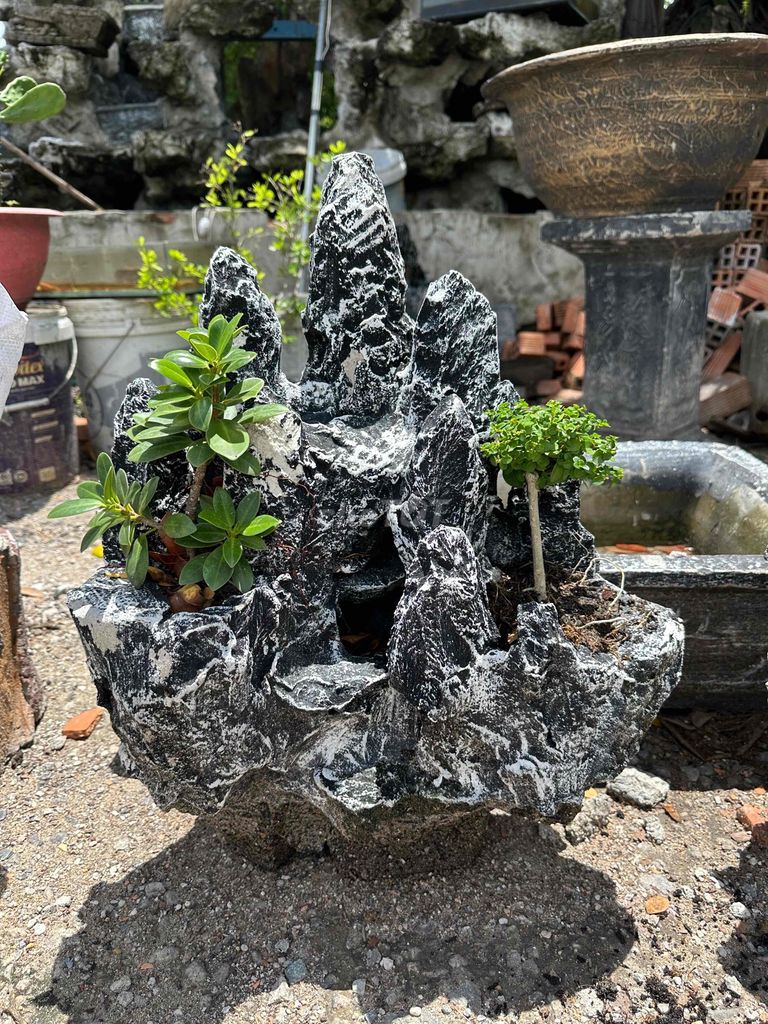 Hòn non bộ mini đá tự nhiên 40x53cm có cây. Mua bán Cây cảnh, đồ trang trí tại Quận 7 Tp Hồ Chí Minh được đăng bởi Đặng Thị Thuý Ngọc hình 1