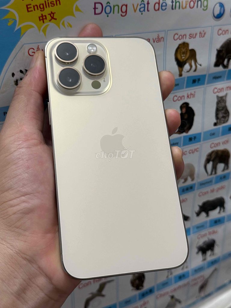 iPhone 14 Pro Max 256GB Quốc Tế Vàng Gonel 99%. Mua bán Điện thoại tại Thị xã Tân Uyên Bình Dương được đăng bởi Anh KuBi hình 1