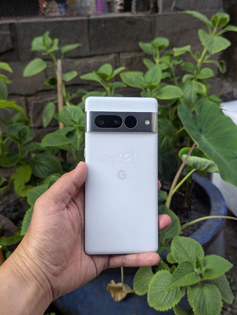 Google Pixel 7 Pro 128GB Trắng vân tay face nhạy. Mua bán Điện thoại tại Quận Gò Vấp Tp Hồ Chí Minh được đăng bởi Sóc hình 1