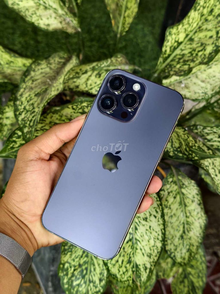 iPhone 14 Pro Max 128GB Tím Đã sử dụng. Mua bán Điện thoại tại Thành phố Nha Trang Khánh Hòa được đăng bởi Đỗ Viết Quân hình 1