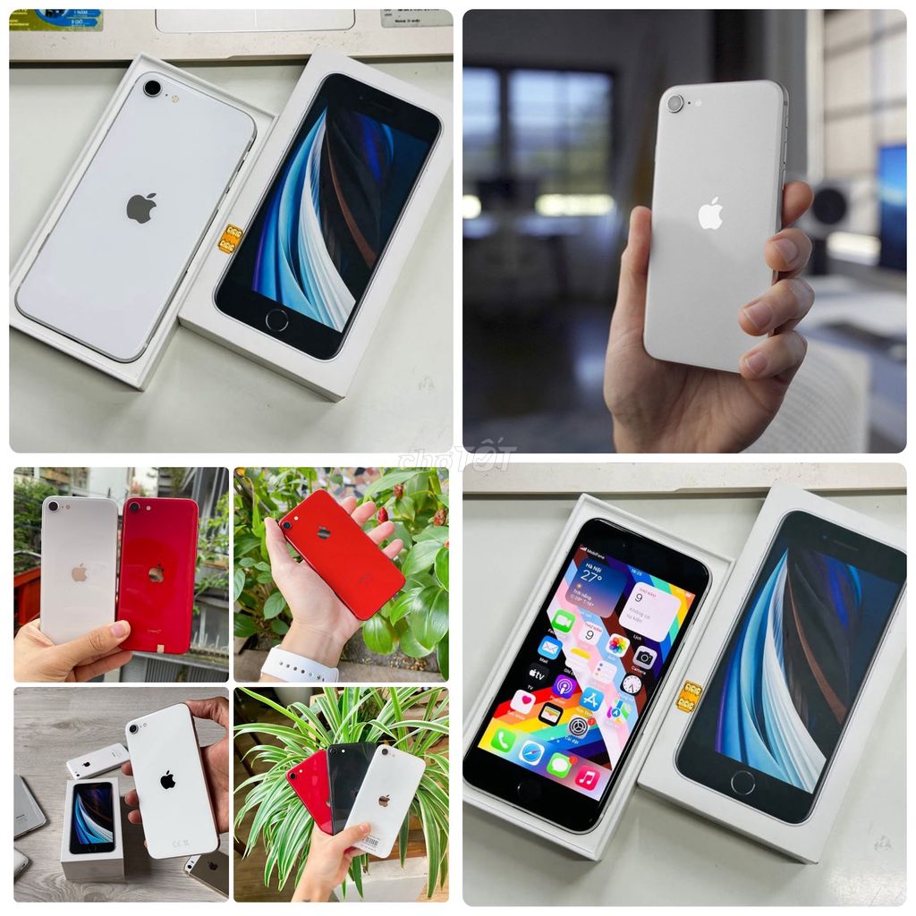 iphone SE 2020 Quốc Tế 256G/128G/64G Có BH/Có ship. Mua bán Điện thoại tại Quận Tân Phú Tp Hồ Chí Minh được đăng bởi Thảo Anh Apple Giá sỉ hình 1