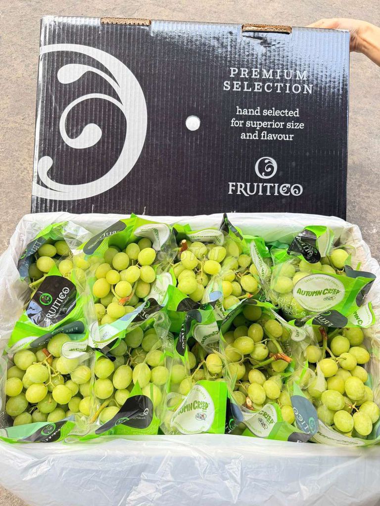 Nho xanh Fruitico Úc. Mua bán Đồ ăn, thực phẩm và các loại khác tại Quận Tân Phú Tp Hồ Chí Minh được đăng bởi Trái Cây Nhập Khẩu Tân Phú hình 1