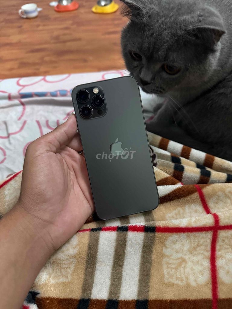 Apple iPhone 12 Pro Max 256GB Xám. Mua bán Điện thoại tại Quận Ba Đình Hà Nội được đăng bởi hoang hình 1