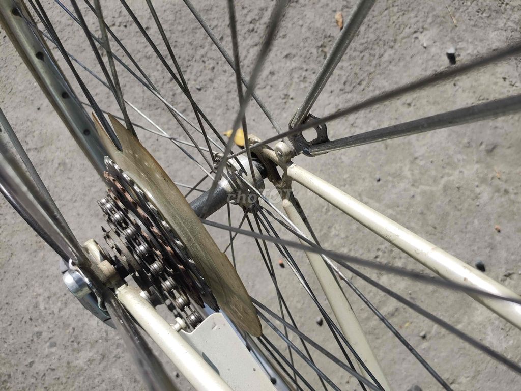 xe đạp Peugeot màu trắng. Mua bán Xe đạp tại Thành phố Thủ Đức Tp Hồ Chí Minh được đăng bởi mongtho hình 4