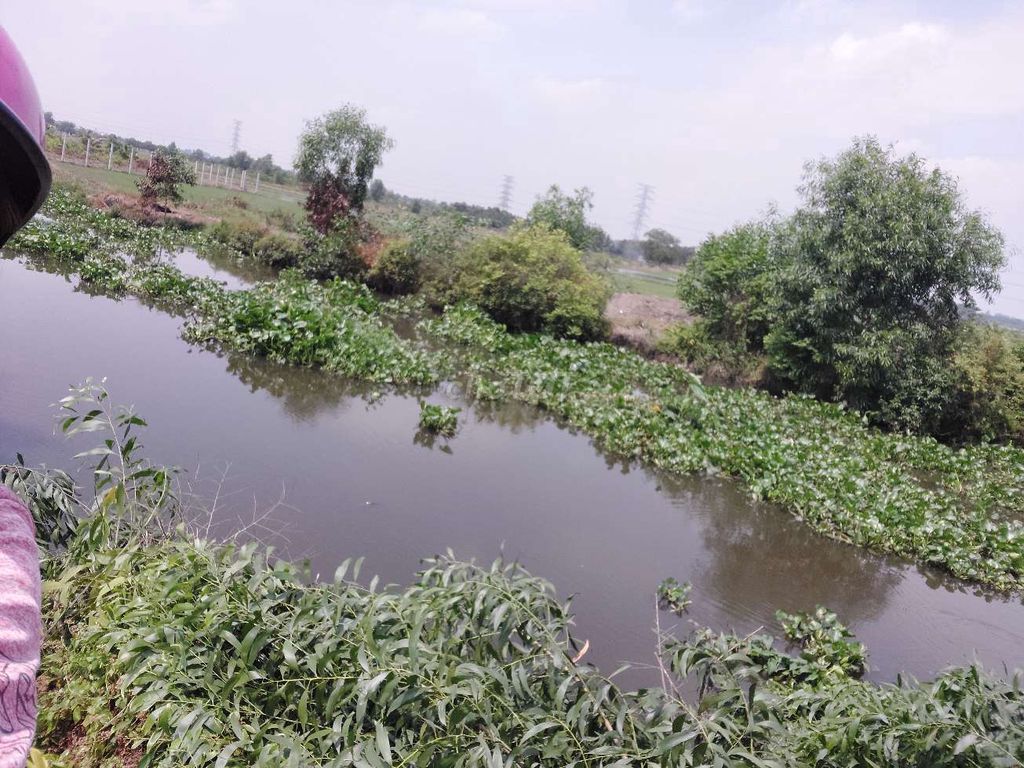 CHÍNH CHỦ CẦN BÁN LÔ ĐẤT 3763m2, xã Tân Thạnh Đông .