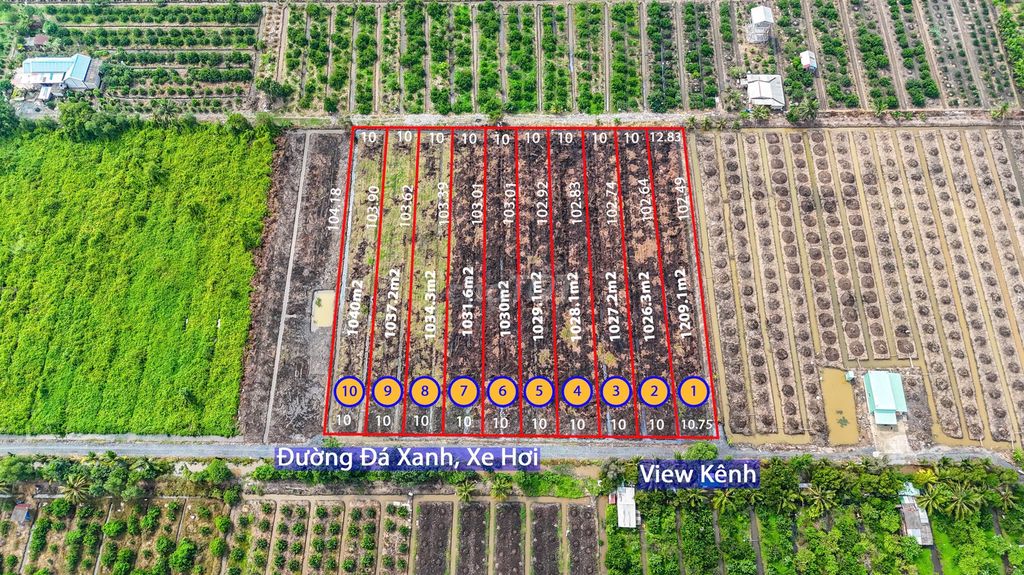 1000m2 vườn F0 view kênh đg xe tải quay đầu, điện nước vào tới đất. Mua bán đất tại Huyện Bến Lức Long An được đăng bởi phan Hoa hình 3