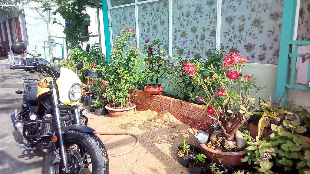 Bán Rebel 300, odo 30k, máy móc bao zin. Mua bán Xe máy tại Huyện Củ Chi Tp Hồ Chí Minh được đăng bởi Võ Tuyền Long hình 1