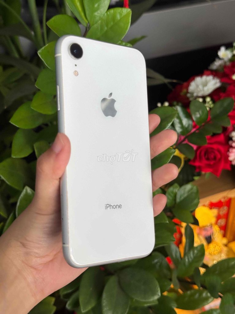 XR trắng - góp 0đ- nậu xớ- bao đậu. Mua bán Điện thoại tại Quận Thanh Khê Đà Nẵng được đăng bởi BÔN APPLE 19 Bàu Hạc 3 hình 1