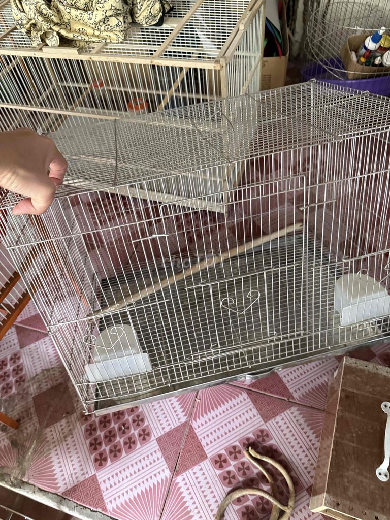 Lồng chim Inox size 60. Mua bán Phụ kiện, Thức ăn, Dịch vụ tại Quận Bắc Từ Liêm Hà Nội được đăng bởi vọng hình 1