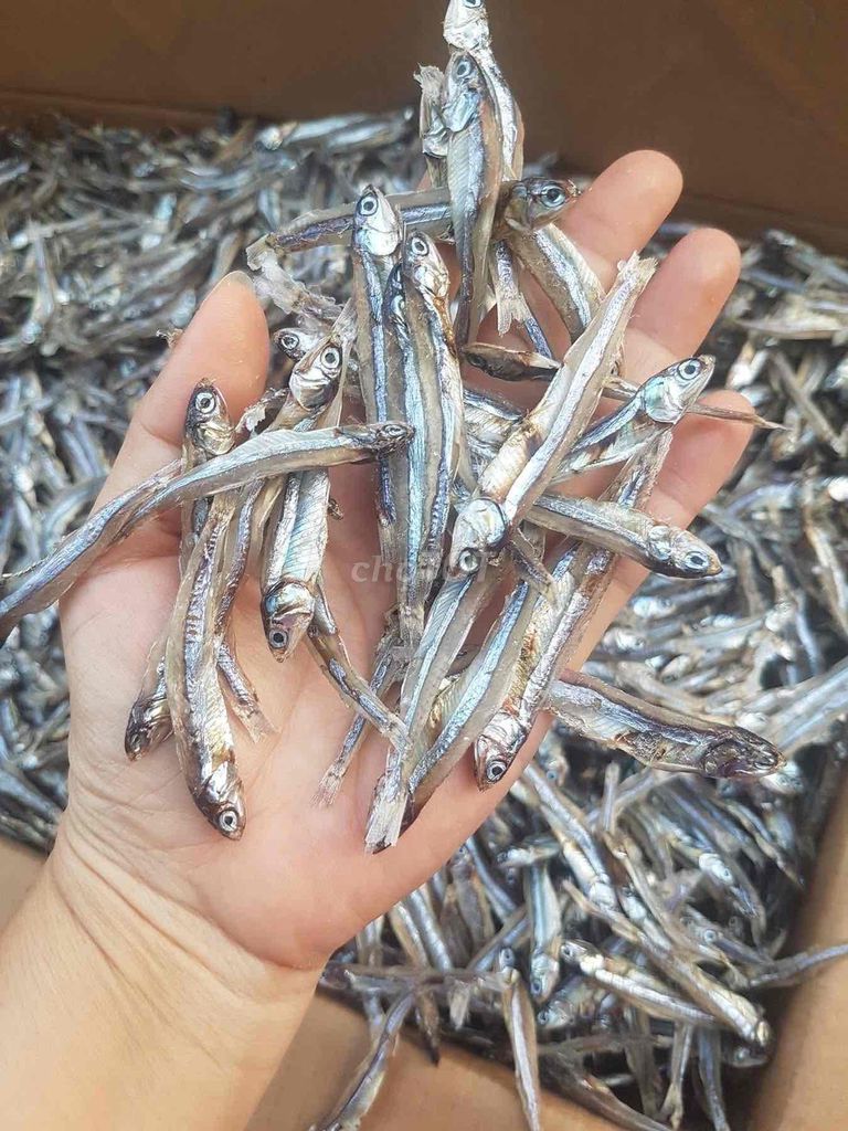 Khô cá cơm Nhà làm. Mua bán Đồ ăn, thực phẩm và các loại khác tại Thành phố Phan Thiết Bình Thuận được đăng bởi Thảo Thảo hình 1
