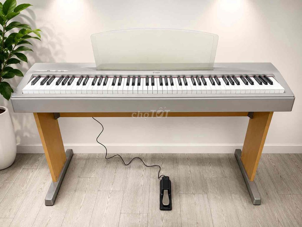 Piano điện Yamaha P-60 88 phím Xám. Mua bán Nhạc cụ tại Quận 12 Tp Hồ Chí Minh được đăng bởi Minh hình 1