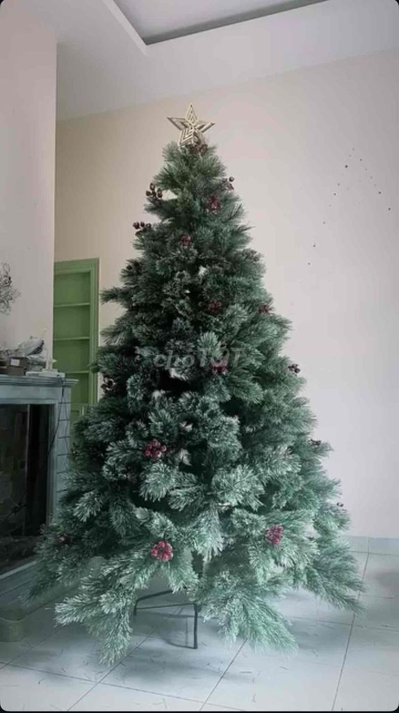 Cây thông Noel 2m4 Nhựa Xanh có phụ kiện. Mua bán Cây cảnh, đồ trang trí tại Thành phố Đà Lạt Lâm Đồng được đăng bởi Lam hình 1