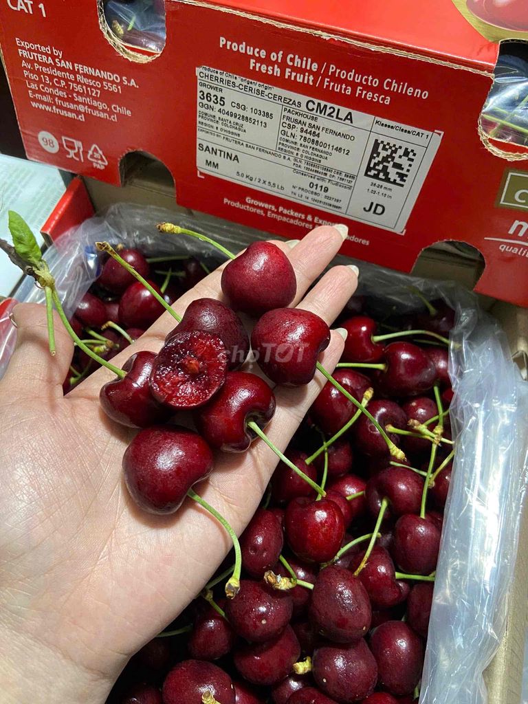 Cherry Chile hộp quà 2,5kg