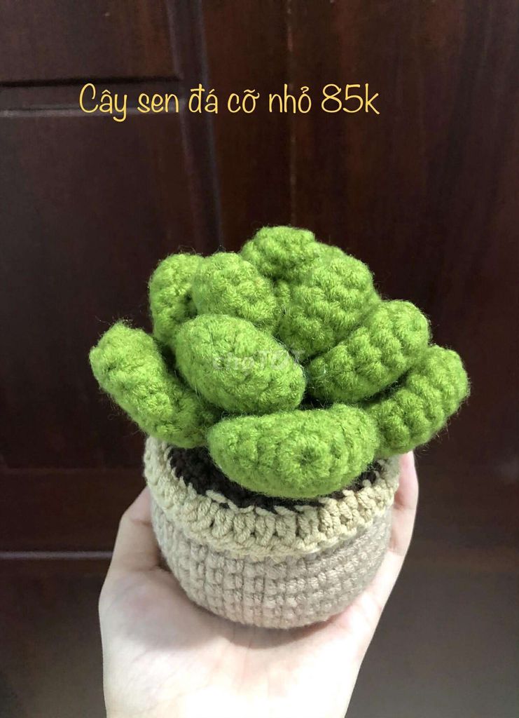 (Deaf) Cây sen đá handmade len Cỡ nhỏ. Mua bán Cây cảnh, đồ trang trí tại Quận 6 Tp Hồ Chí Minh được đăng bởi Thanh Thanh hình 1