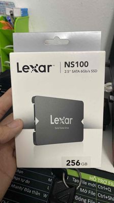 SSD LEXAR 256G New