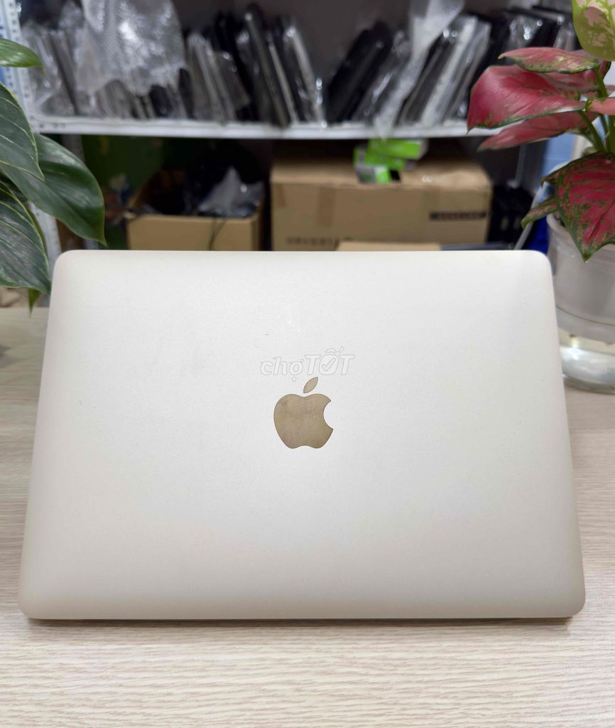 Macbook Retina 2015 M Ram 8 SSD 256GB pin new 12”. Mua bán Laptop tại Quận Hai Bà Trưng Hà Nội được đăng bởi Akiba shop hình 1