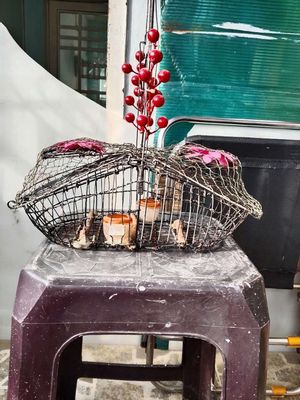 Cái lòng bẫy chim. Mua bán Phụ kiện, Thức ăn, Dịch vụ tại Quận 7 Tp Hồ Chí Minh được đăng bởi hoang phuc