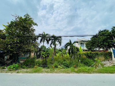 Plot of land 131 m² · Đường Tỉnh lộ 2