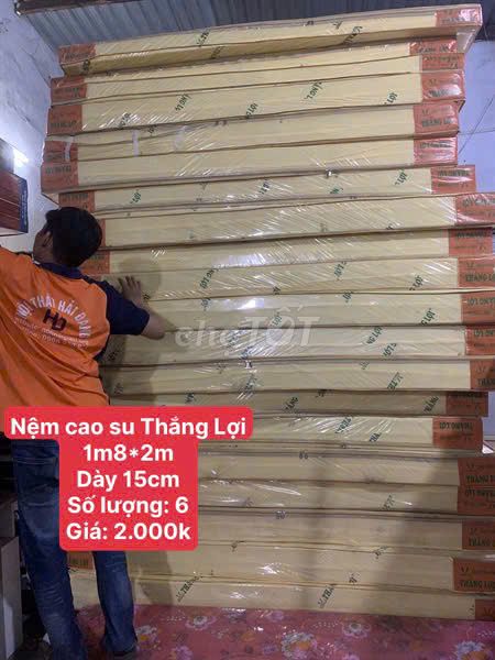 Nệm Thắng Lợi Tồn Kho Sale Giá Rẻ