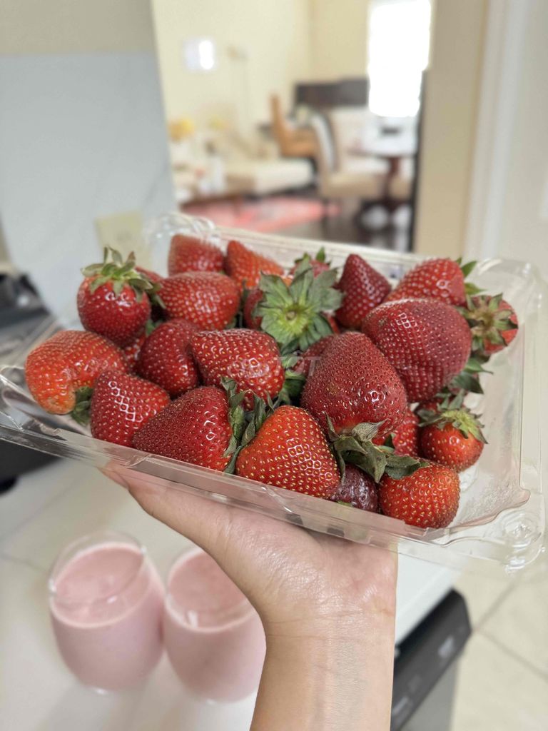 Dâu Tây Mỹ Organic/ Chuẩn Mỹ xách tay tươi ngon. Mua bán Đồ ăn, thực phẩm và các loại khác tại Quận Tân Bình Tp Hồ Chí Minh được đăng bởi Kim Phú hình 1