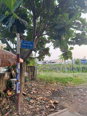 Đất thổ cư mặt tiền Phạm Thị Tôm-Đông Thạnh-Hóc Môn.Dt 322m2~8,6ty