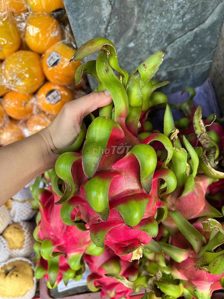 Thanh long ruột đỏ Phan Thiết siêu ngọt. Mua bán Đồ ăn, thực phẩm và các loại khác tại Quận 4 Tp Hồ Chí Minh được đăng bởi Thoa Truong hình 1