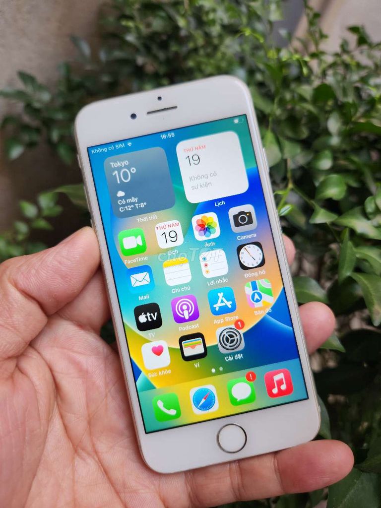 Apple iPhone 8 64GB zin Đã qua sử dụng. Mua bán Điện thoại tại Quận Tân Phú Tp Hồ Chí Minh được đăng bởi Cầm đồ thanh lý giá hợp lý hình 1
