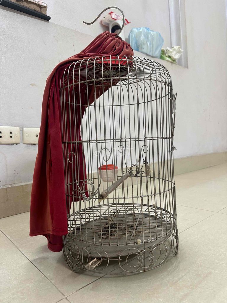 Lồng chim Inox 30x50cm. Mua bán Phụ kiện, Thức ăn, Dịch vụ tại Quận Bắc Từ Liêm Hà Nội được đăng bởi Thanh Tùng hình 1