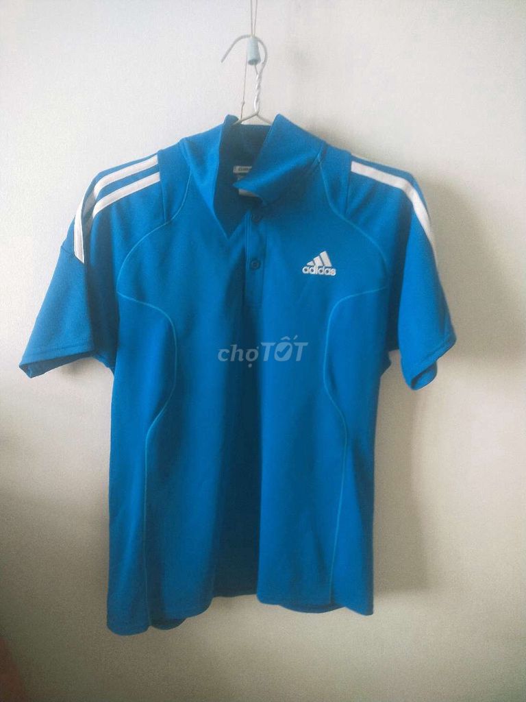 Áo polo nam Adidas thoáng mát xanh dương. Mua bán Quần áo tại Quận Phú Nhuận Tp Hồ Chí Minh được đăng bởi Long Tran hình 1