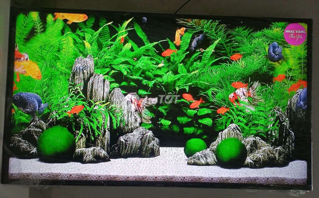 Tivi Sony 32 inch LED. Mua bán Tivi, Âm thanh tại Huyện Nghi Xuân Hà Tĩnh được đăng bởi Dragon hình 1