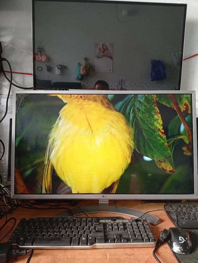 Màn hình LG 32MP58 32 inch. Mua bán Phụ kiện (Màn hình, Chuột...) tại Quận Bình Tân Tp Hồ Chí Minh được đăng bởi Hùng hình 1