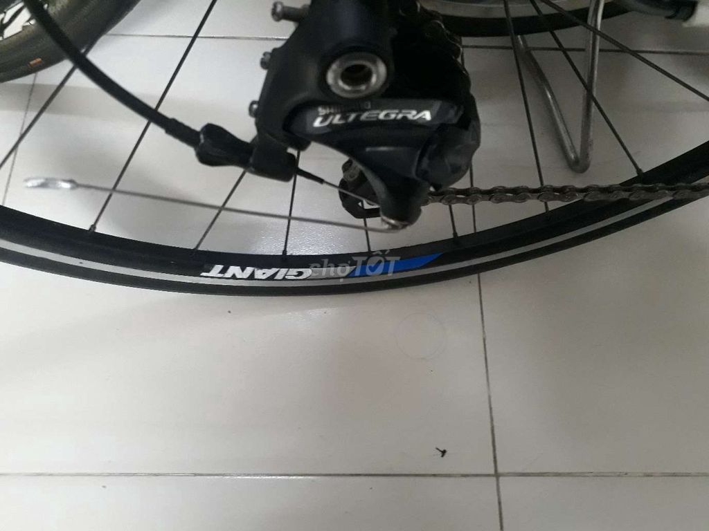 Xe GIANT PUỘC CARBON .SHIMANO ULTEGRA. Mua bán Xe đạp tại Quận 12 Tp Hồ Chí Minh được đăng bởi ngoc van nguyenn hình 2
