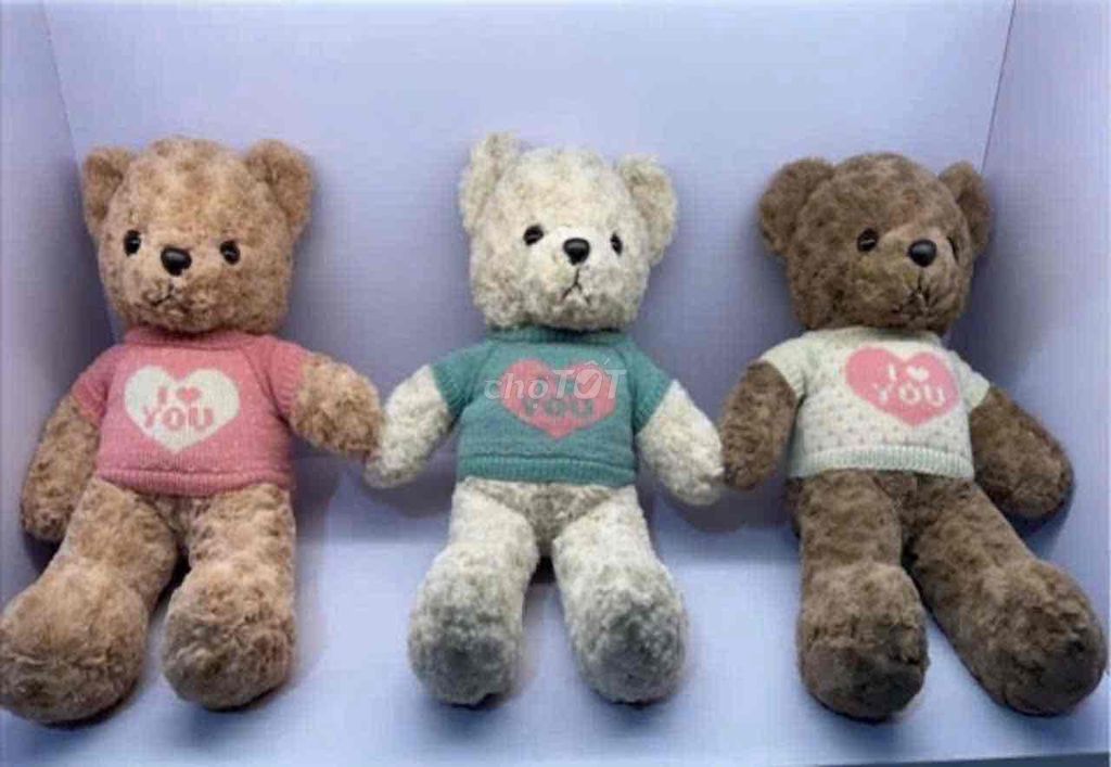 Gấu teddy bear