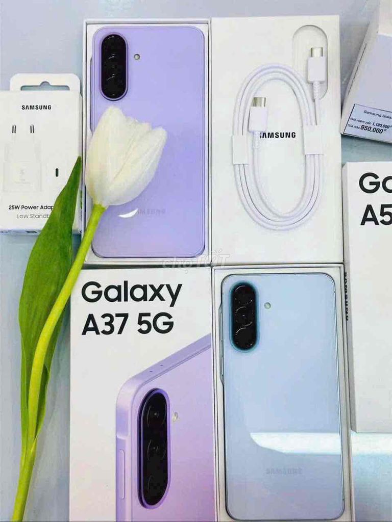 Samsung Galaxy A37 5G Tím- góp tuần / tháng. Mua bán Điện thoại tại Quận 11 Tp Hồ Chí Minh được đăng bởi Vy Điện Máy Trả Góp Nhanh hình 1