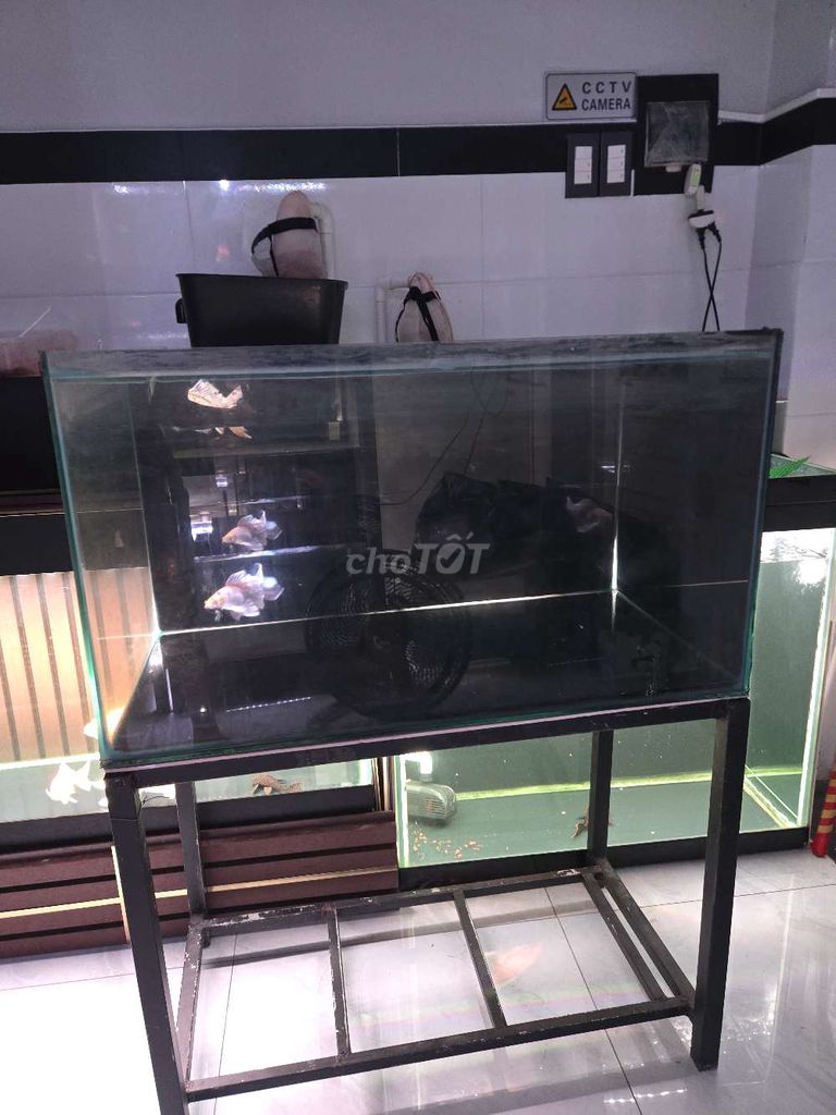 Hồ cá Kính 80x40x45cm có chân. Mua bán Phụ kiện, Thức ăn, Dịch vụ tại Quận 12 Tp Hồ Chí Minh được đăng bởi Quốc hình 1