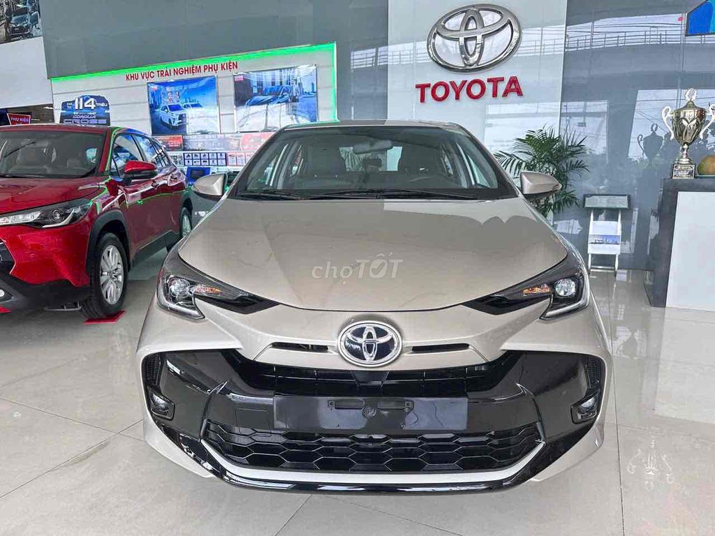 Ảnh số 6